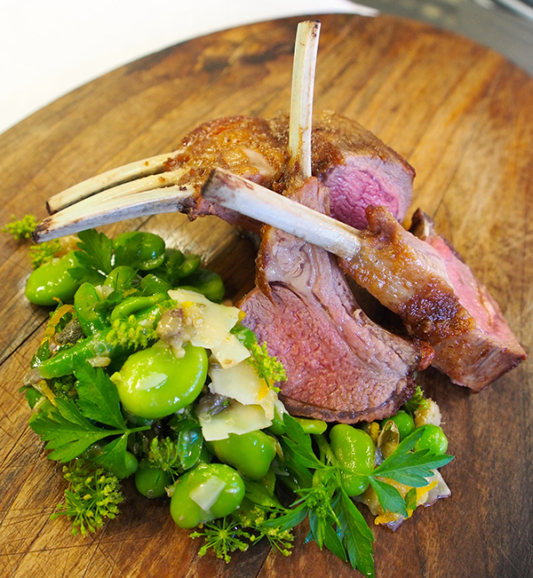 Article Image - Coastal Lamb